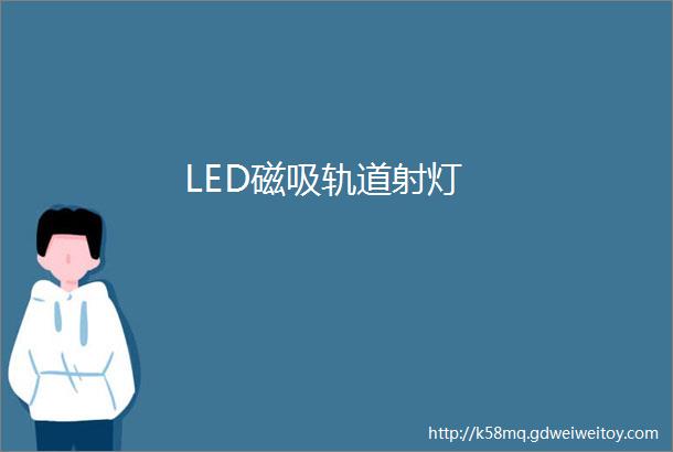 LED磁吸轨道射灯